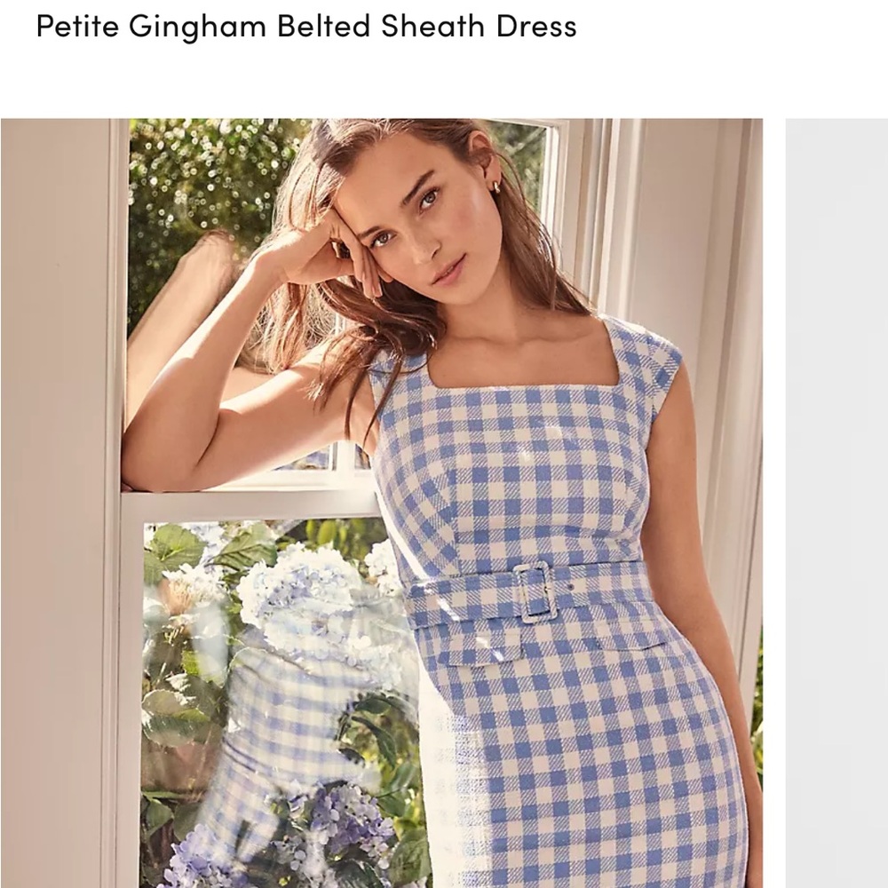 Ann Taylor NWO tags, size 6 P. Beautiful blue and white checked sheath dress.